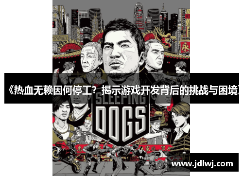 《热血无赖因何停工？揭示游戏开发背后的挑战与困境》