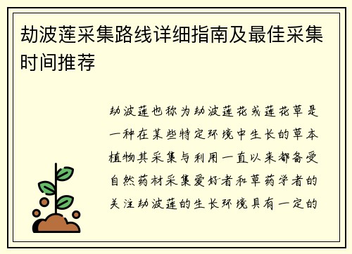 劫波莲采集路线详细指南及最佳采集时间推荐